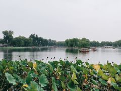 -什刹海