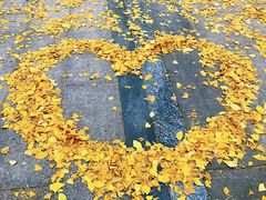 -百林公园-两江幸福广场