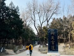 -函谷关历史文化旅游区