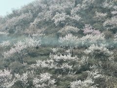 -妙峰山风景名胜区