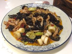 -付掌柜在成都·热炒砂锅集(金禾店)