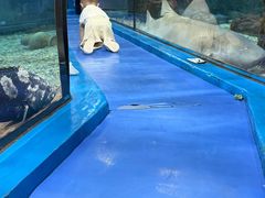 -福州罗源湾海洋世界旅游区