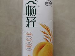 伊利畅轻-清真民族饭庄(洞庭路店)