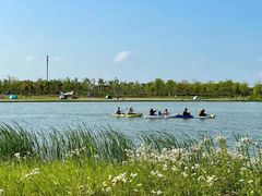 -春花秋色城市公园