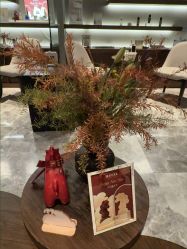 -丽妍雅集 Rubis SPA