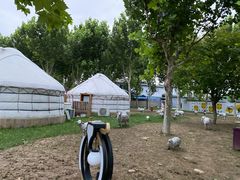 -九十九顶毡房(阜石路店)