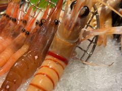 -吉兆·料理(红梅南路店)