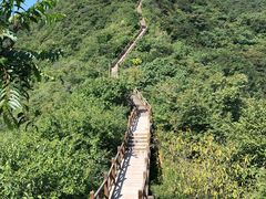 -大岭沟猕猴桃谷风景区