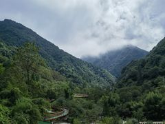 -安吉龙王山风景区