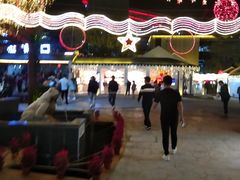 -三亚红色娘子军演艺公园景区