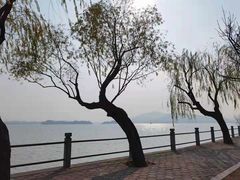 -无锡蠡湖国家湿地公园-蠡园