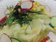 -高东镇樱花园