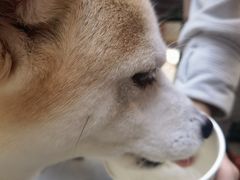-星巴克臻选(上海今潮8弄店)