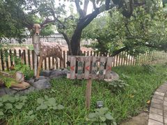 -丽泽山庄·生态怀柔菜·虹鳟鱼(红螺寺店)