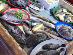 -闯关东东北农家菜(崂山石老人店)