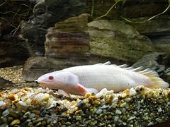 -上海海洋水族馆