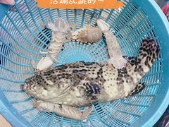 -鑫鸿达·海鲜闽菜热炒小馆(中山路店)
