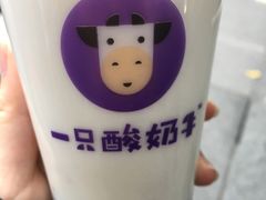 -一只酸奶牛(八一路店)