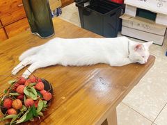 -森野花艺培训·企业团建活动沙龙