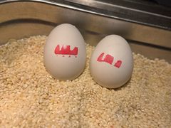 -商河温泉酒店