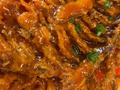 -直隶安家罩饼(复兴路店)