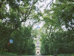 -灵谷景区