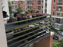 -富轩全屋门窗(浦江红星美凯龙店)