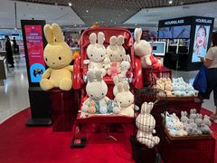-DFS迪斐世(香港广东道店)