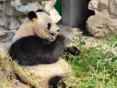 -安吉竹博园