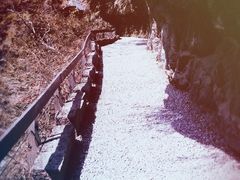 -太鲁阁公园