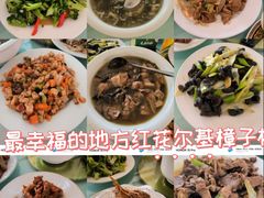 -红花尔基樟子松国家森林公园