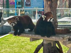 -水上乐园·欢乐世界