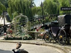 -J Create城市露营咖啡·简餐·宠物(上海动物园店)