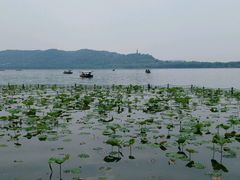 -西湖游船