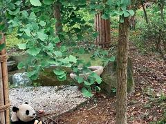 -安吉竹博园