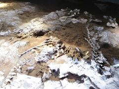 -世界恐龙谷景区