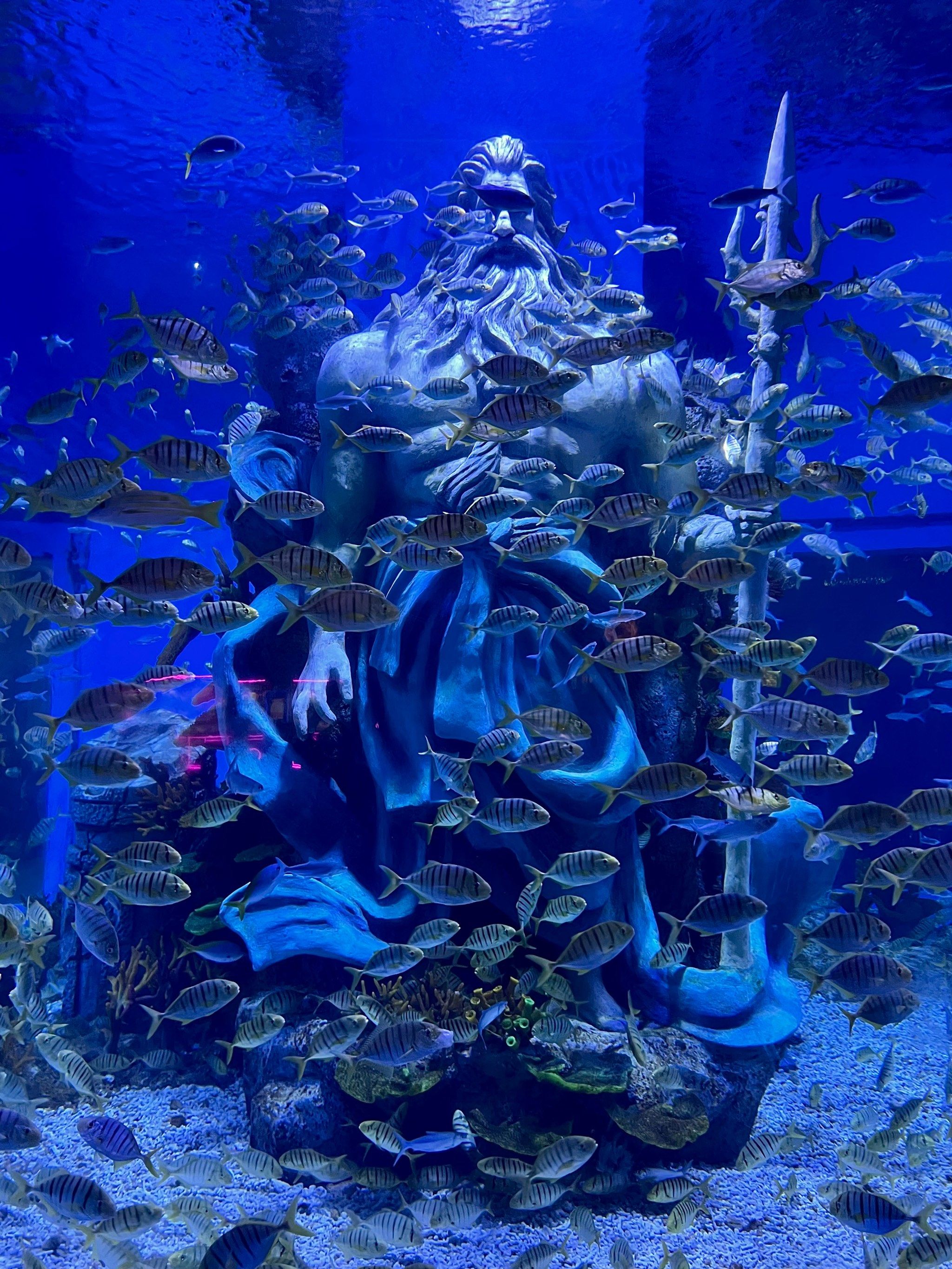 一起去和美人鱼拍照吧📷
