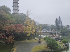 -江心屿景区