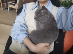 -小时光咖啡馆(开森度假森林店)