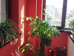 -正德楼果木烤鸭·渔家菜(东港店)