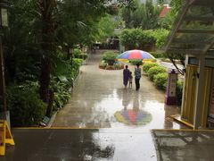 服务贴心-江门古兜温泉小镇