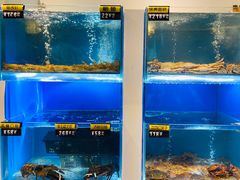 水产区-赶海部落海鲜城(海阳路店)