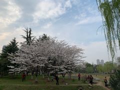-堤角公园