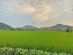 -云晓光头烧烤吧(新大陆广场店)