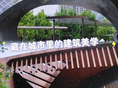 -大望京公园