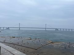 -星海广场