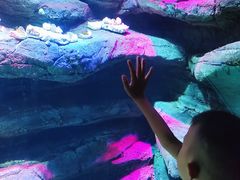 -沈阳海洋探索中心