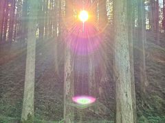 -上色见熊野座神社