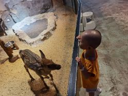 -酷嗒动物文化乐园(cutezoo西溪乐天城店)