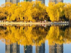 -沈阳南湖公园